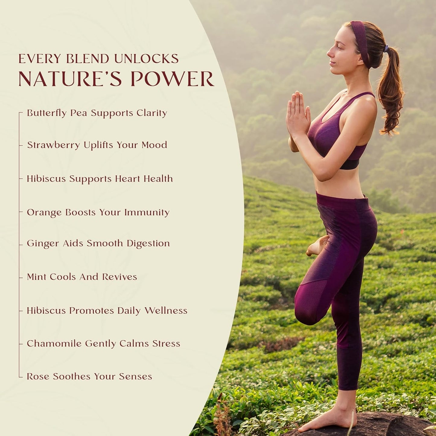 Herbal Tea Gift Box (Pack of 6)