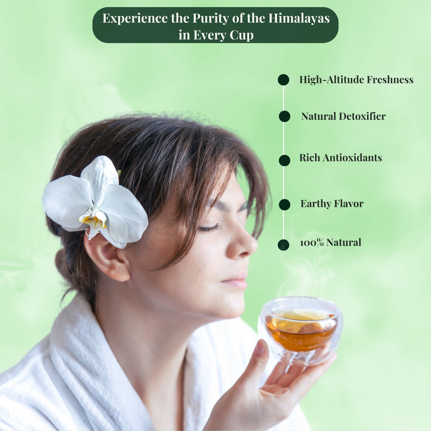 Himalayan Green Tea Fresh Natural Flavour 15 Pyramid Tea Bags pack of 1