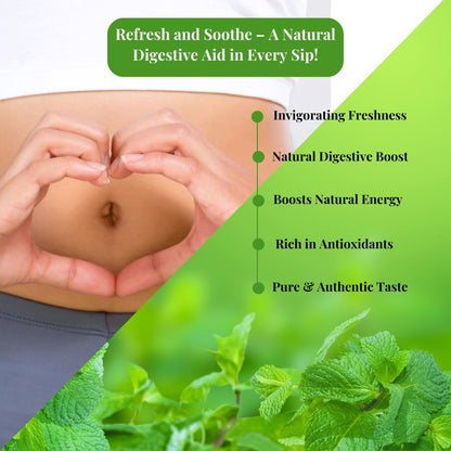 Mint Green Tea For Hot/Iced 15 Pyramid Tea Bags Pack of 1