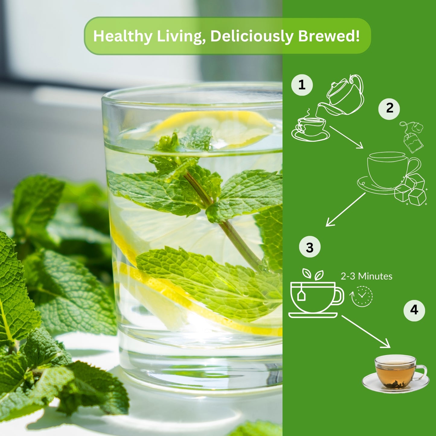 Mint Green Tea For Hot/Iced 15 Pyramid Tea Bags Pack of 1