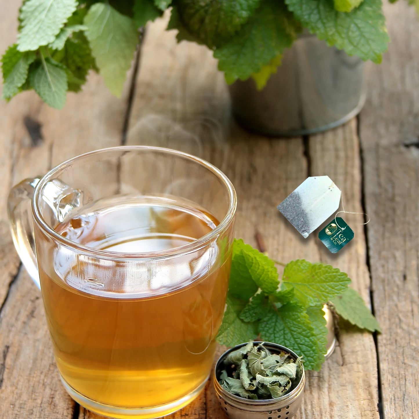 Tulsi Ashwagandha Green Tea 15 Pyramid Tea Bags Pack of 1